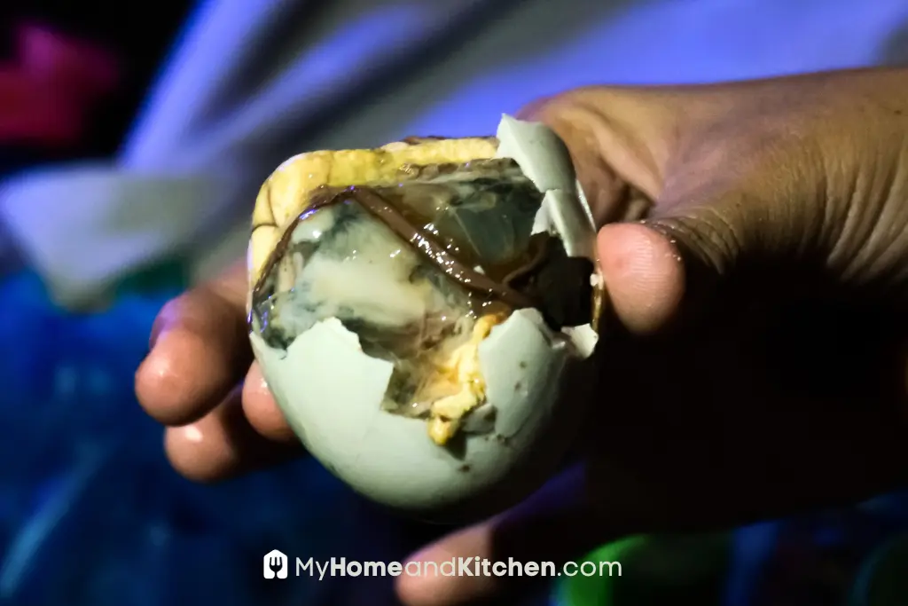 How to Cook Balut