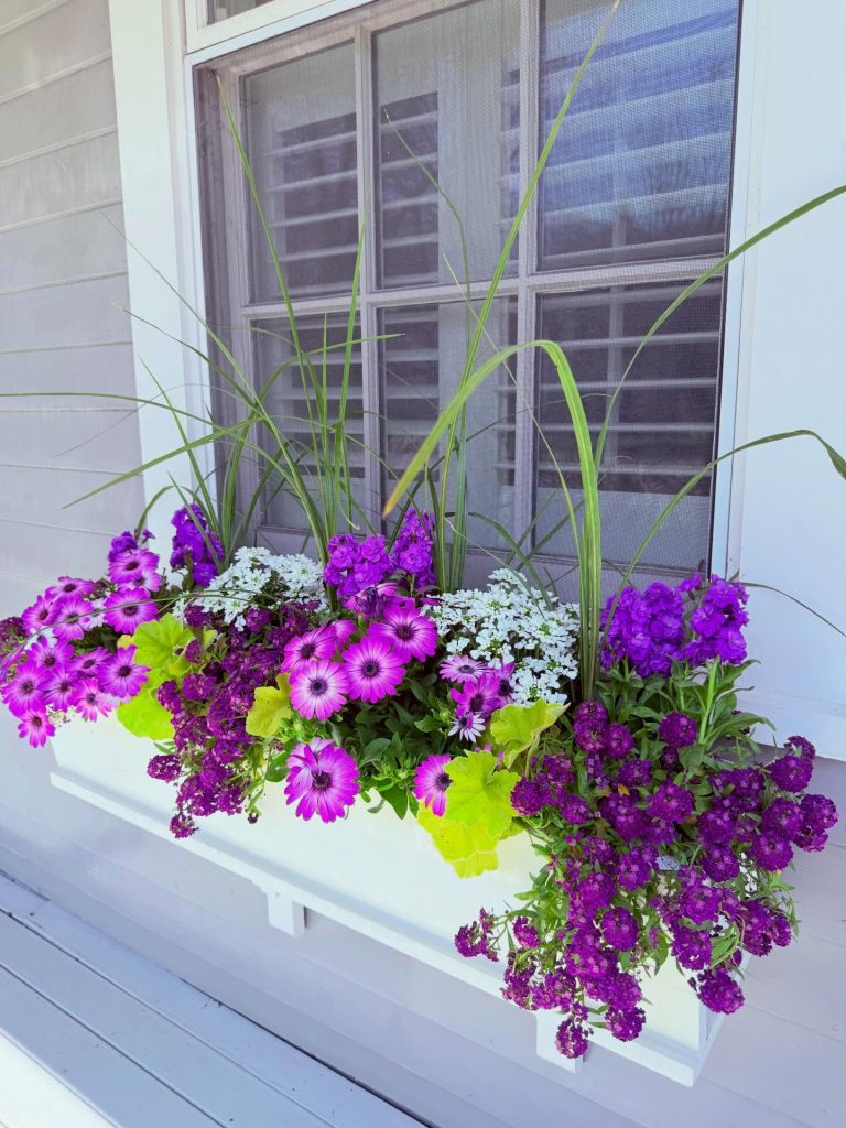 Spring Window Display Ideas Worth Copying From Real Homes This Year