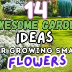 14 Awesome Garden Ideas for Growing Small Flowers