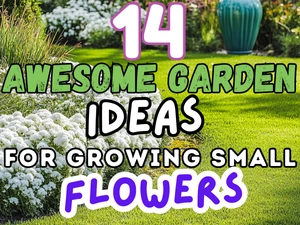 14 Awesome Garden Ideas for Growing Small Flowers