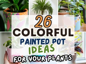 Colorful Painted Pot Ideas
