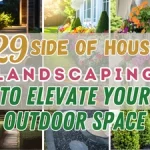 29 Side of House Landscaping Ideas to Elevate Your Outdoor Space