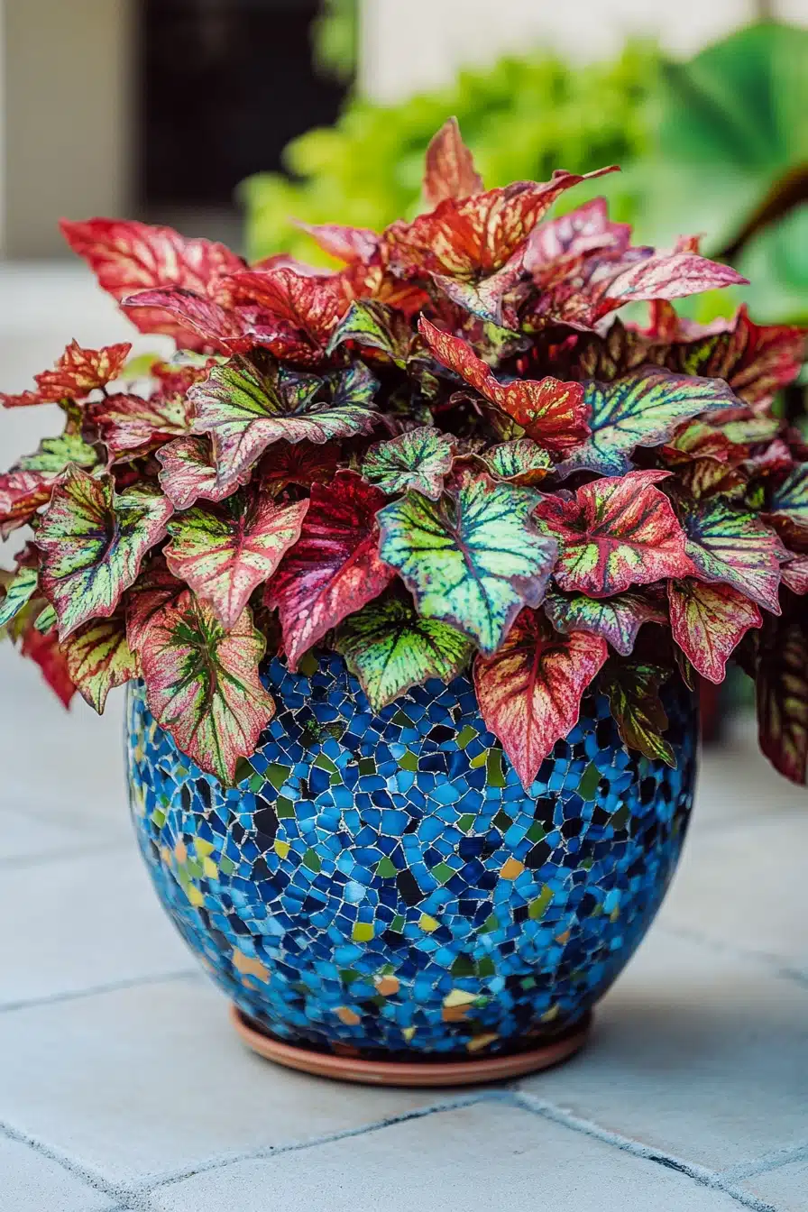 Bold Coleus in Mosaic Art Pot
