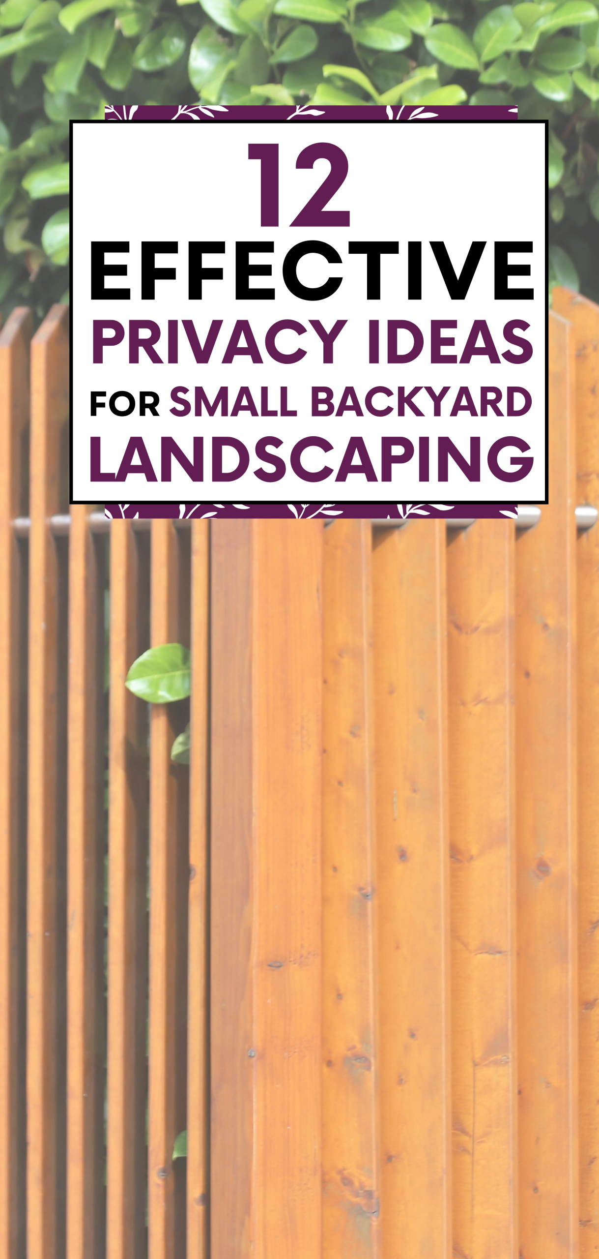 Small Backyard Landscaping