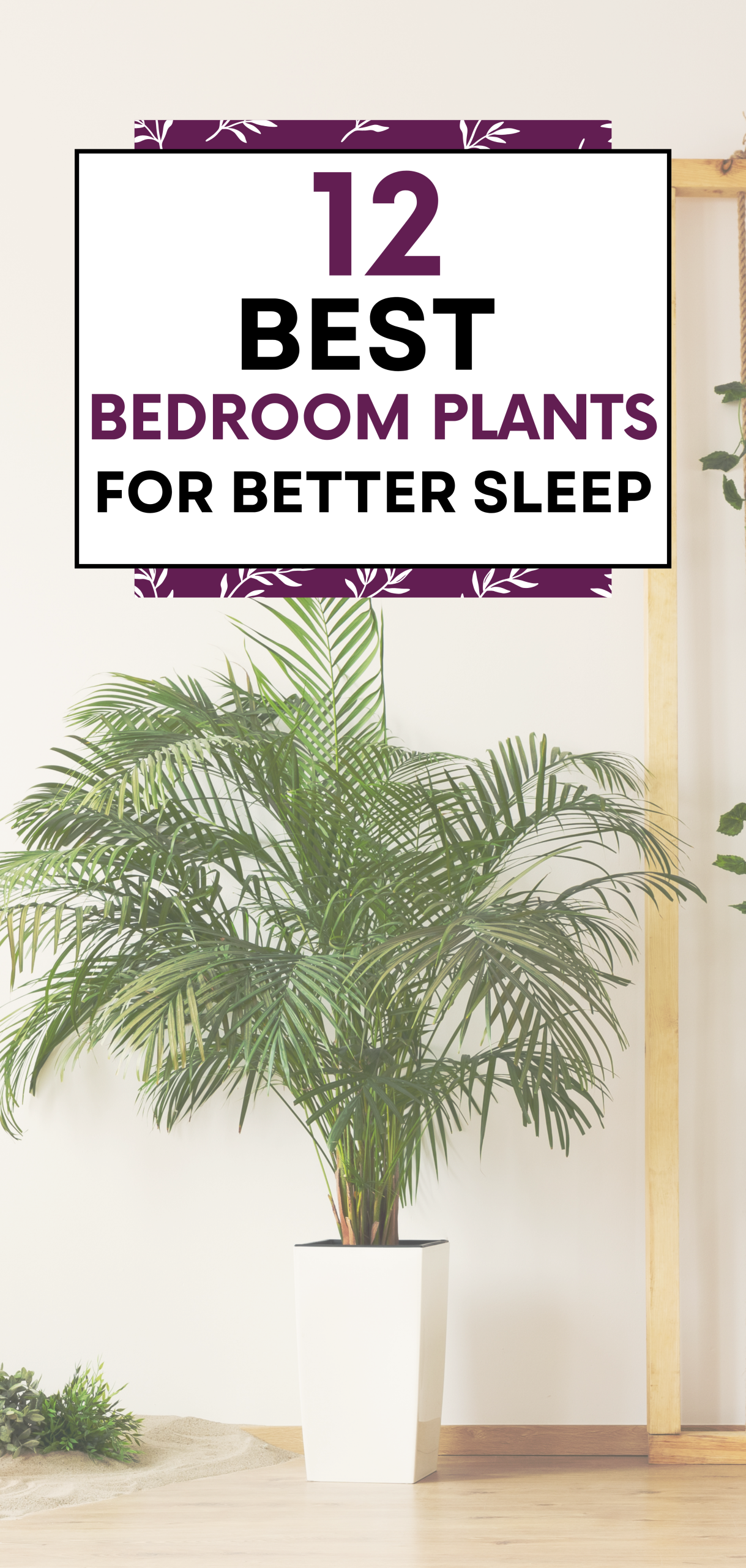 Bedroom Plants