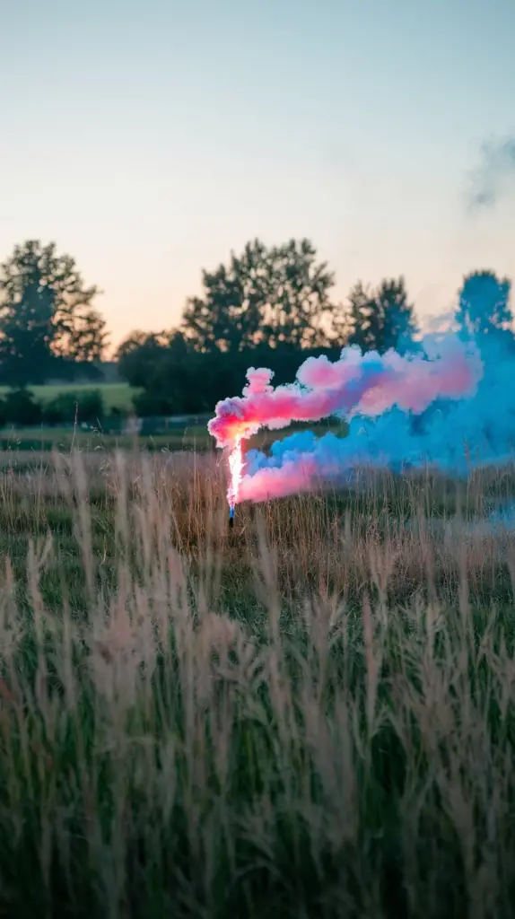 Gender Reveal Ideas