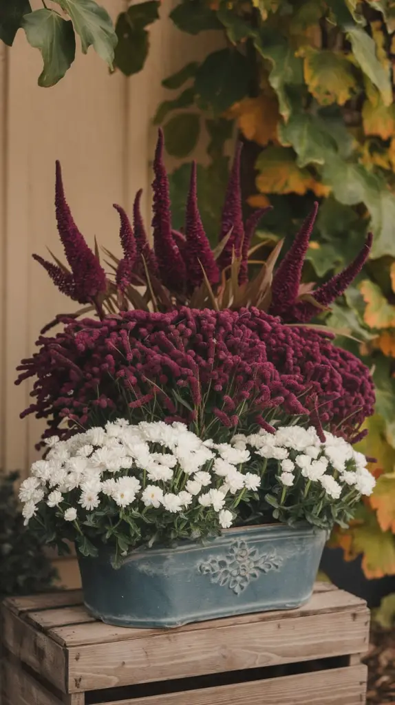 Fall Container Garden