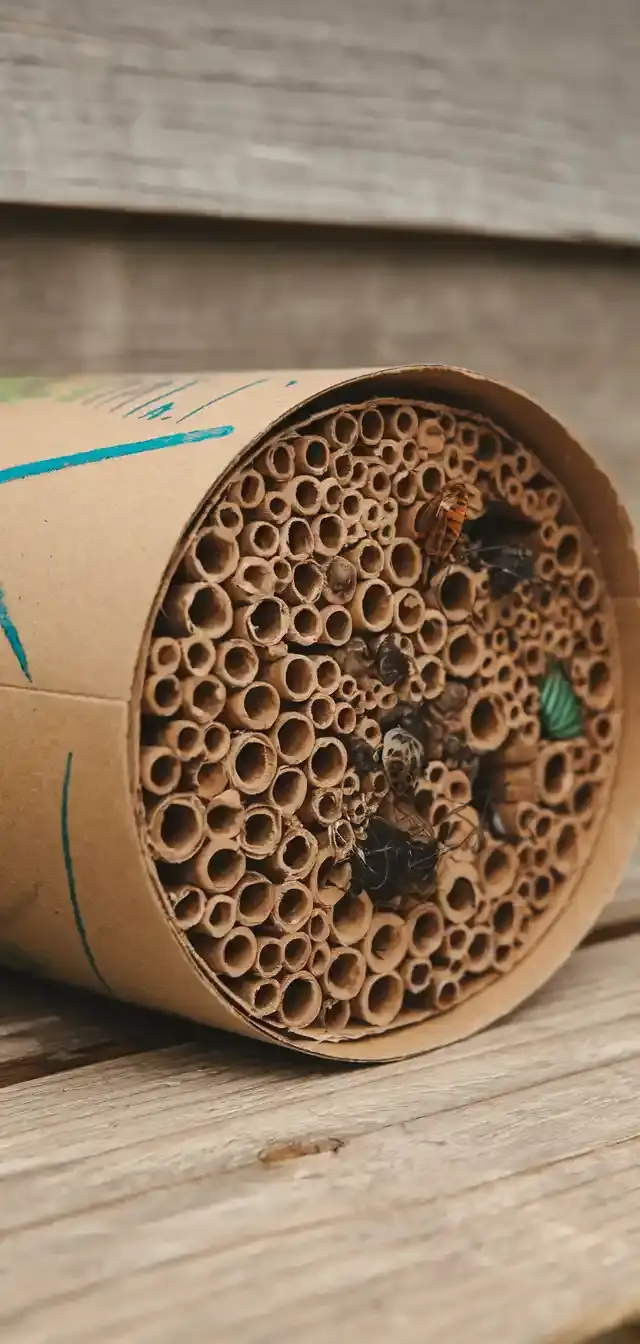 Bug Hotel Craft