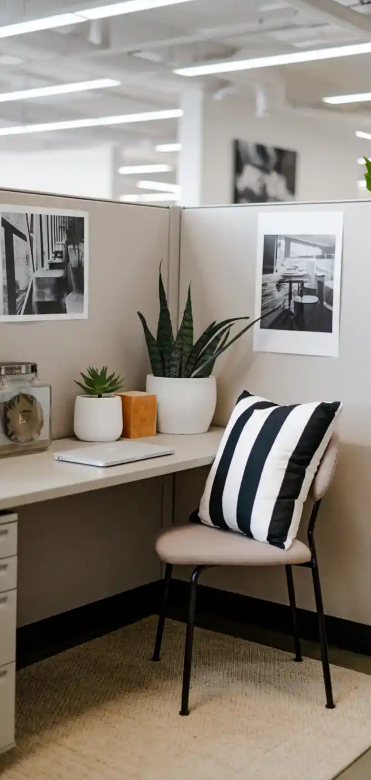 Ways to Make Your Cubicle Suck Less