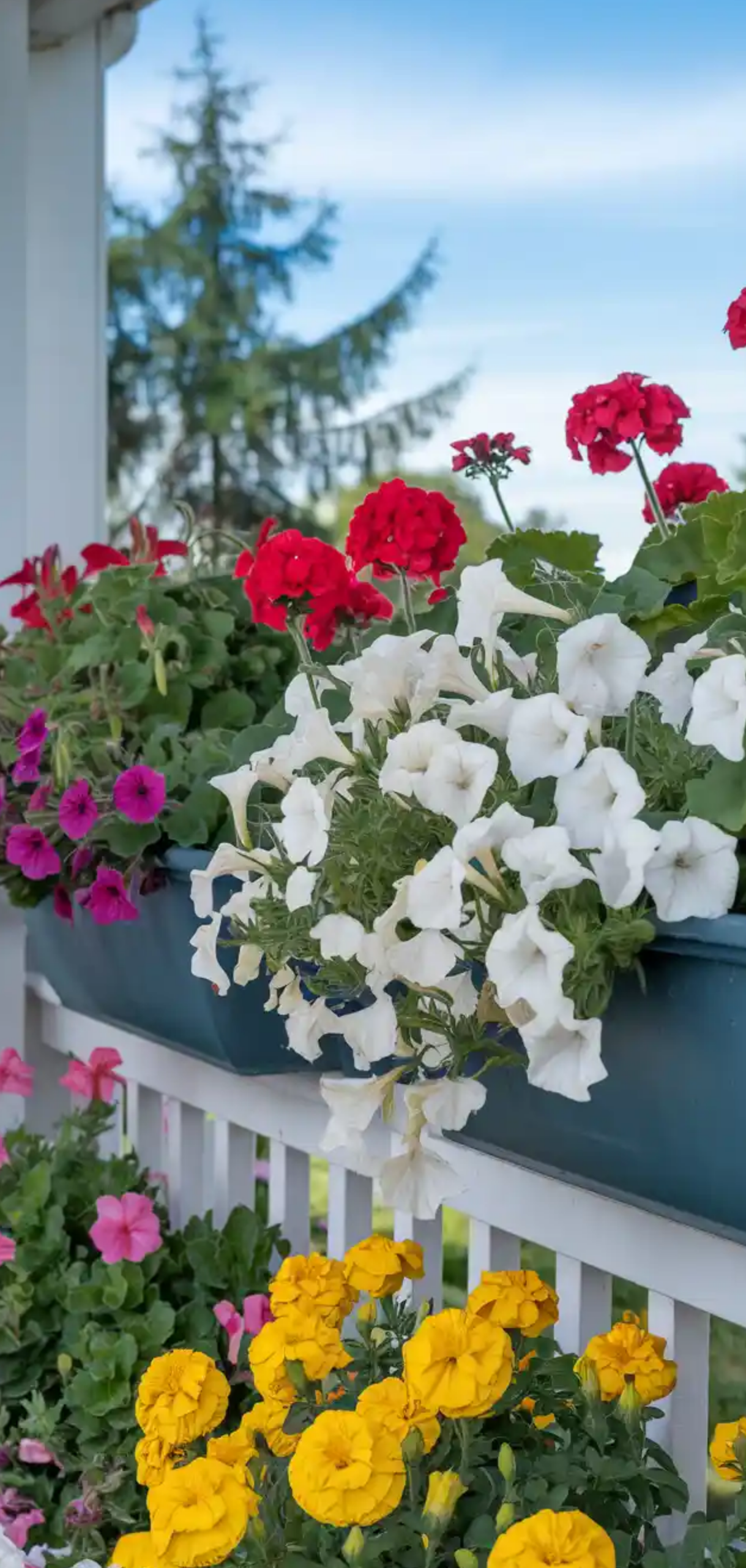 Floral-Filled Porch Garden Ideas