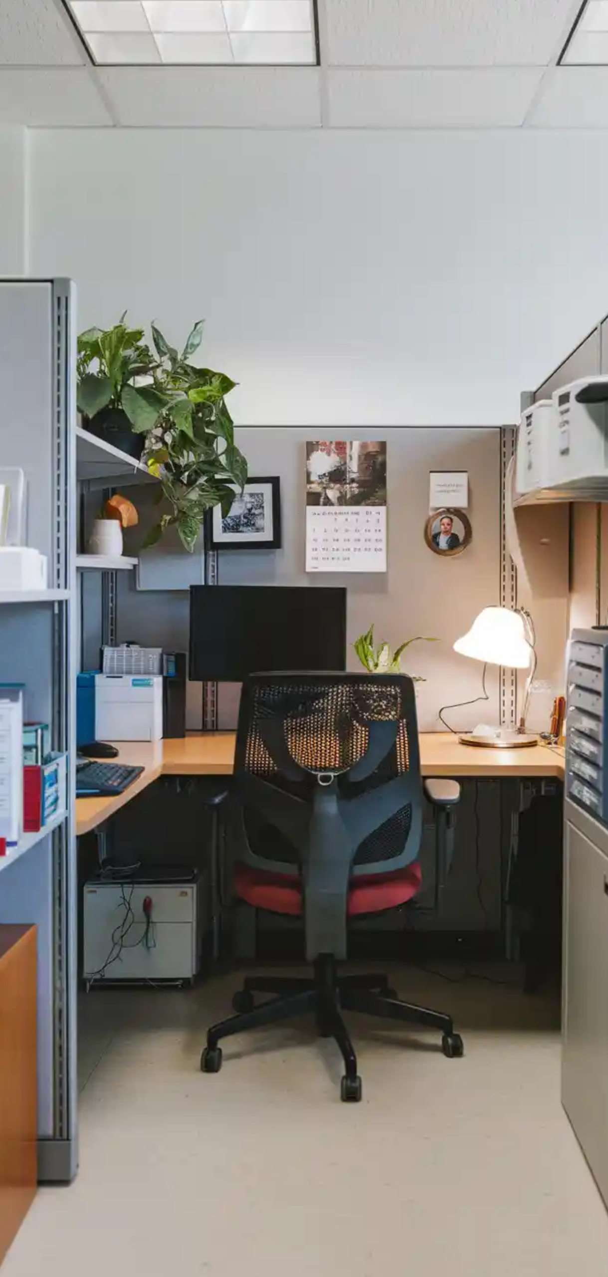 Ways to Make Your Cubicle Suck Less