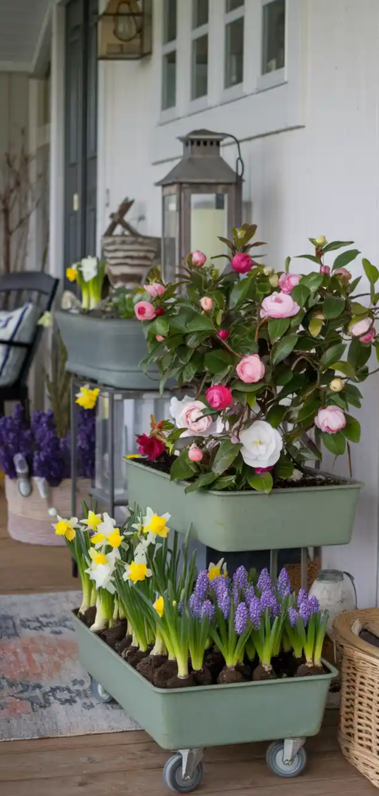 Floral-Filled Porch Garden Ideas