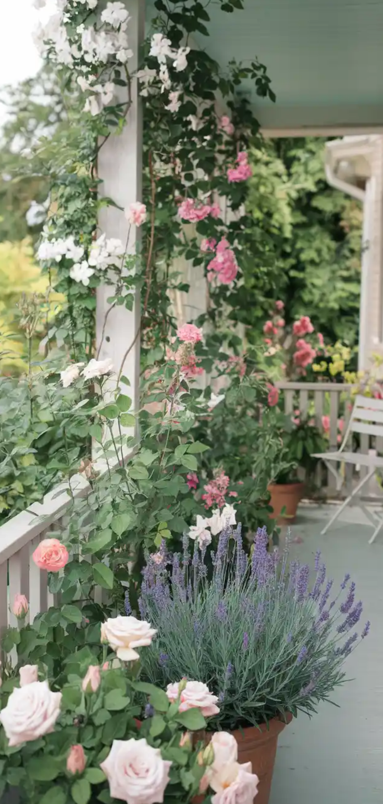 Floral-Filled Porch Garden Ideas