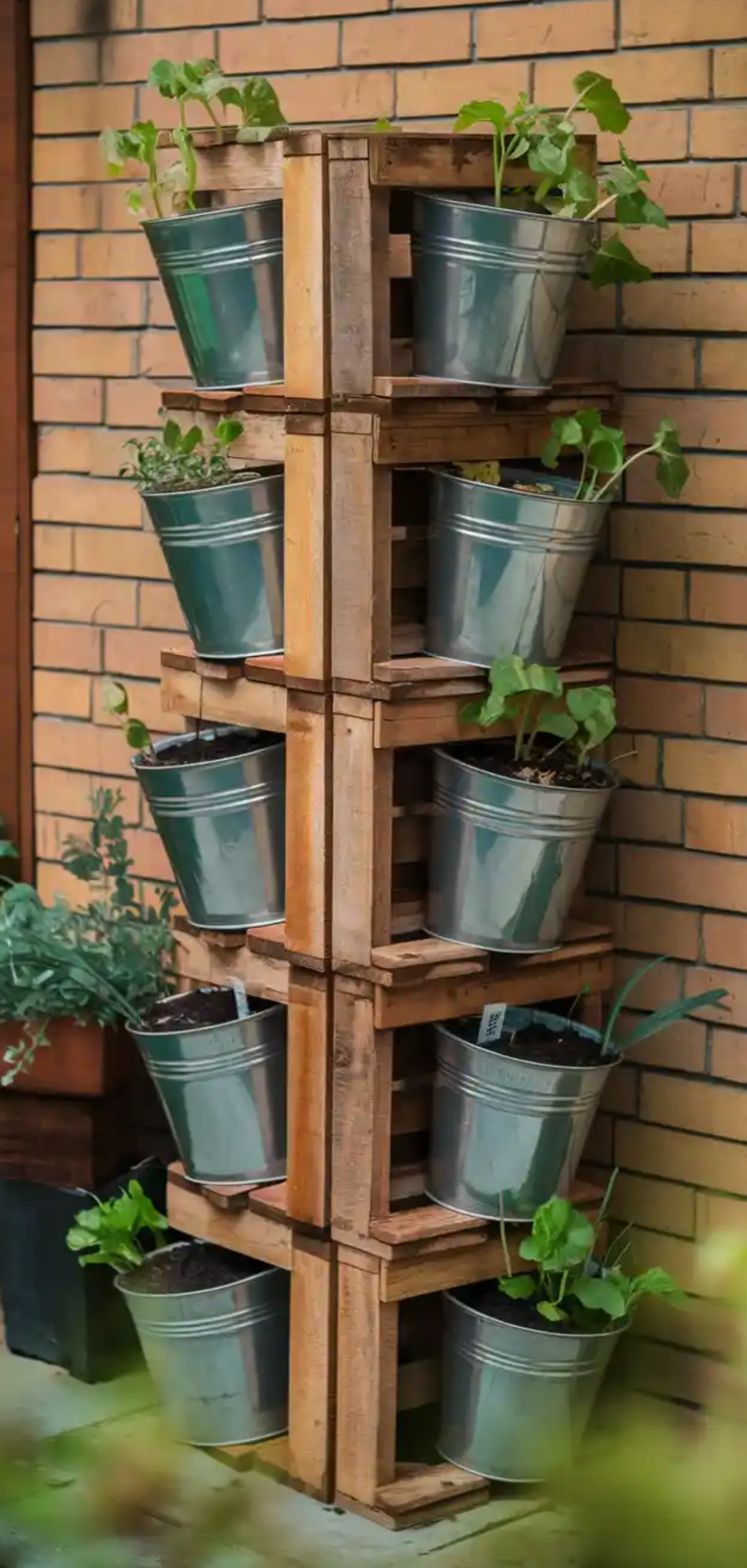 DIY Bucket Garden Ideas for Small Spaces