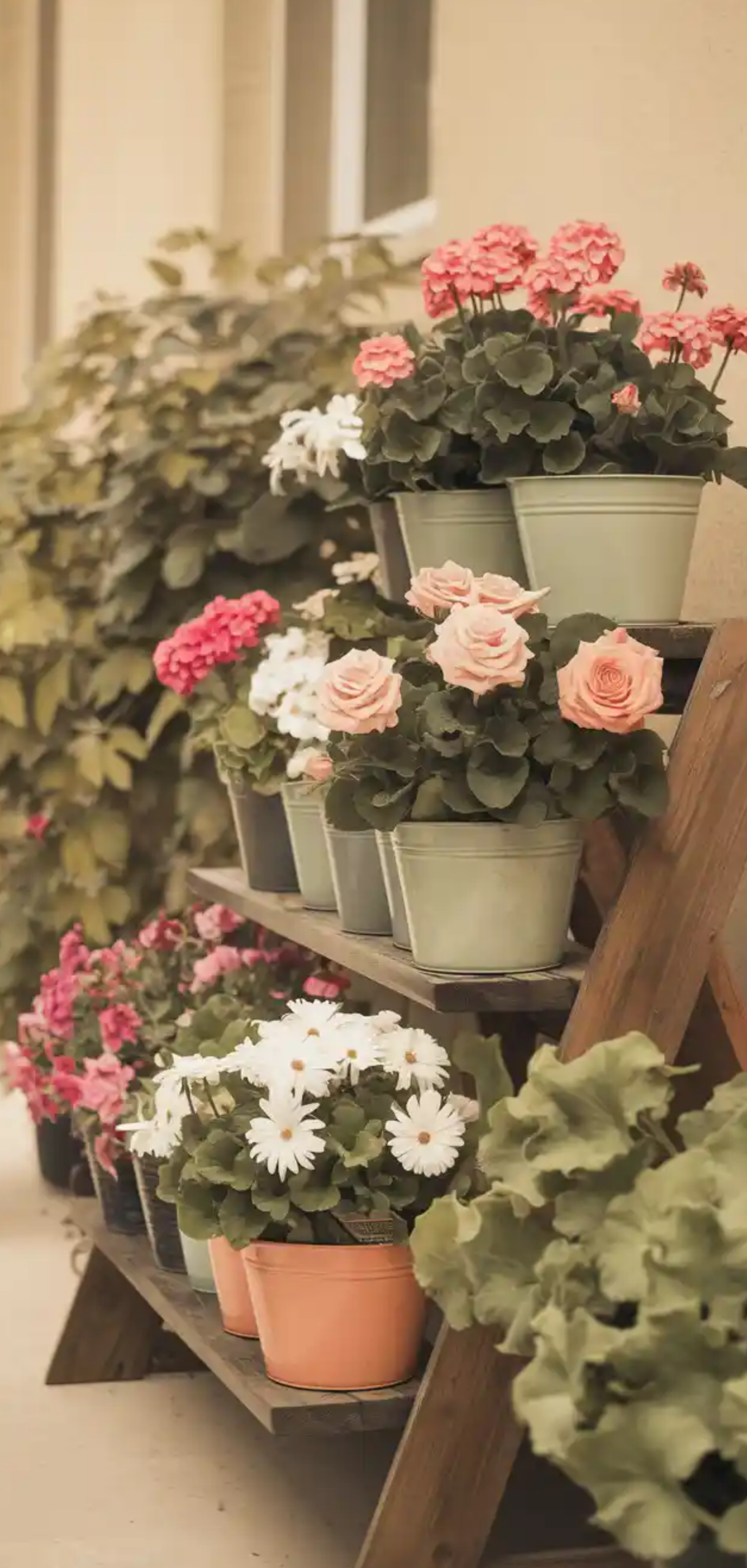 Floral-Filled Porch Garden Ideas