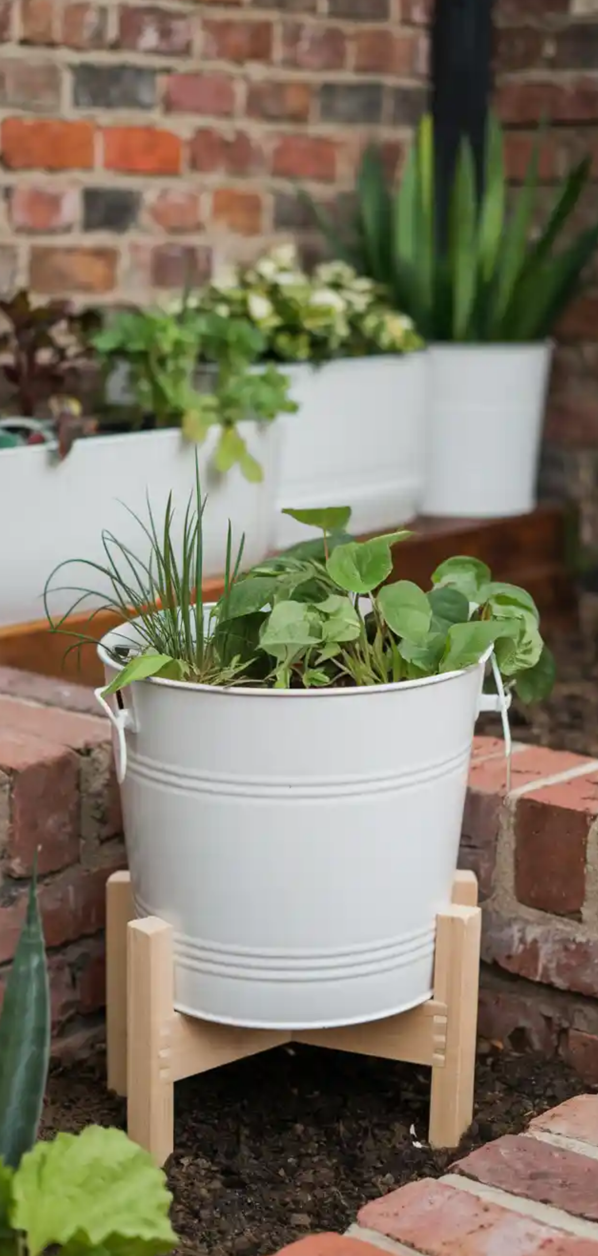 DIY Bucket Garden Ideas for Small Spaces