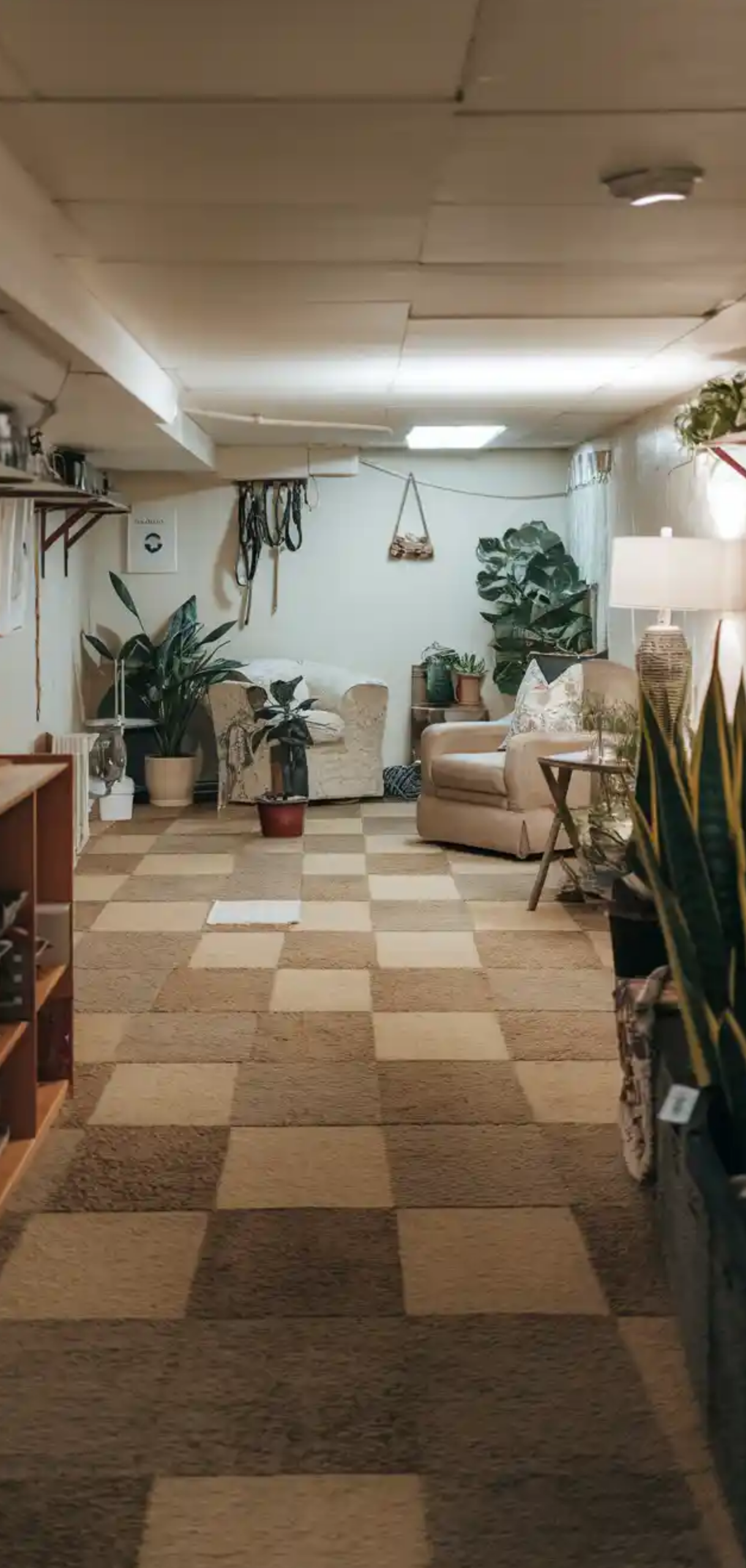 Basement Flooring Ideas