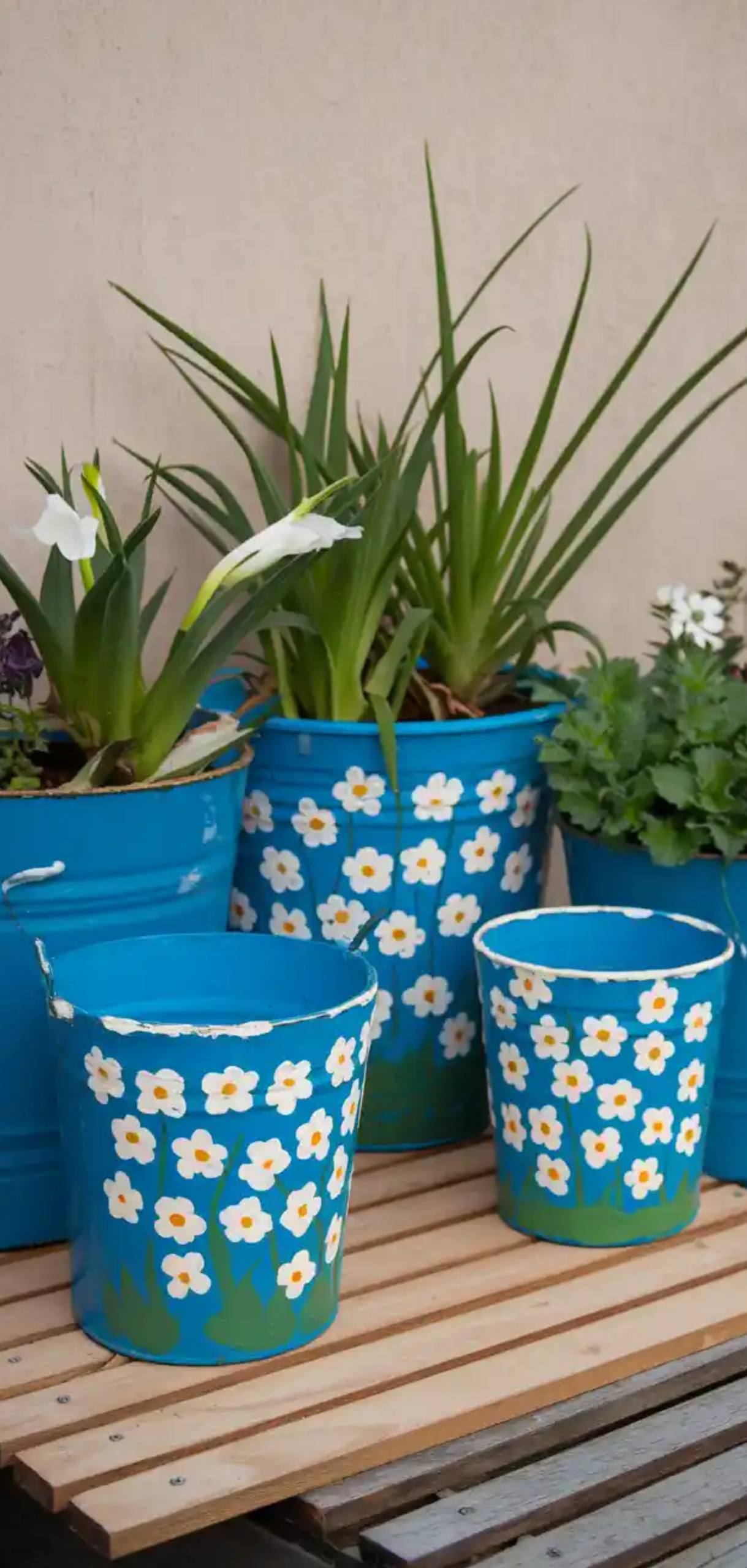 DIY Bucket Garden Ideas for Small Spaces