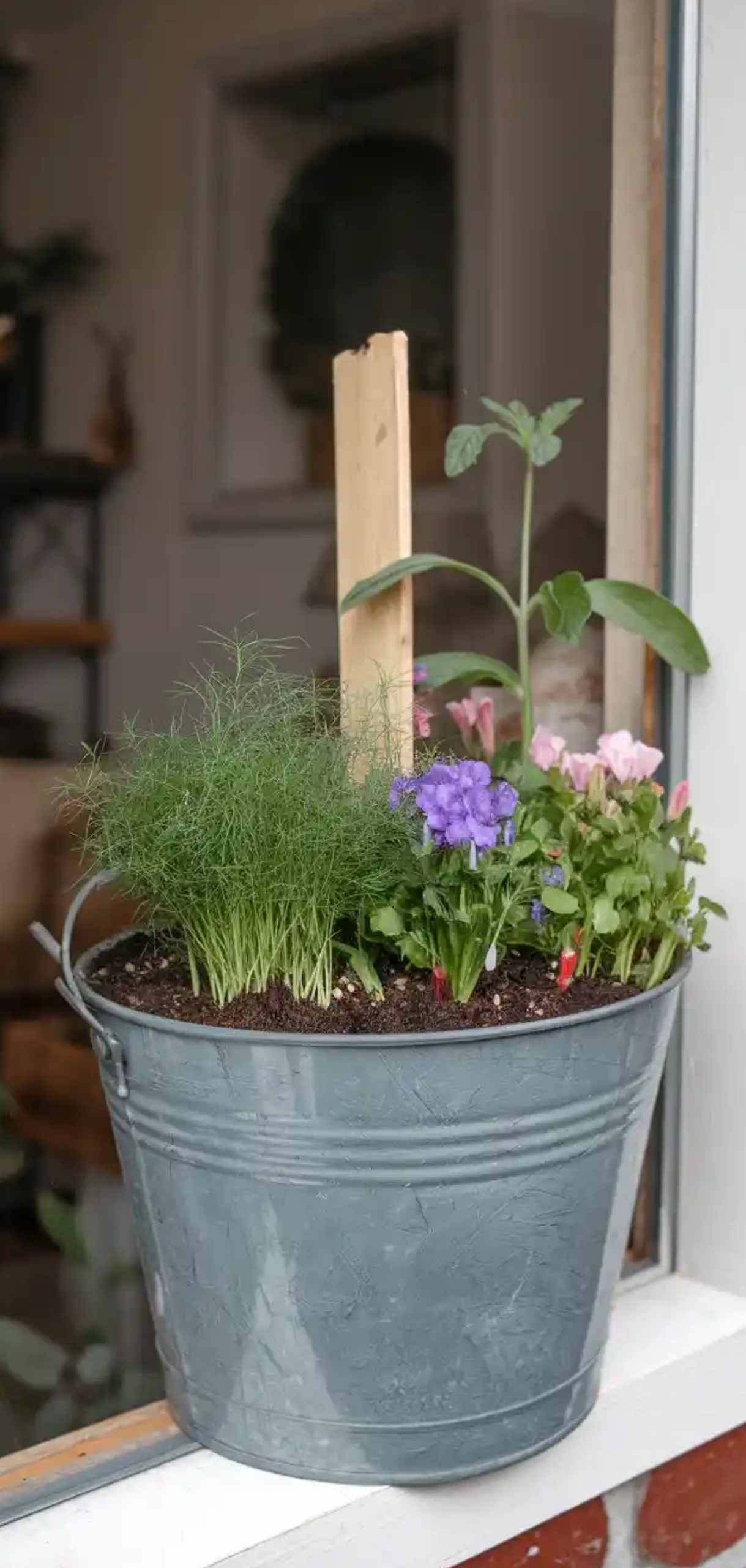 DIY Bucket Garden Ideas for Small Spaces