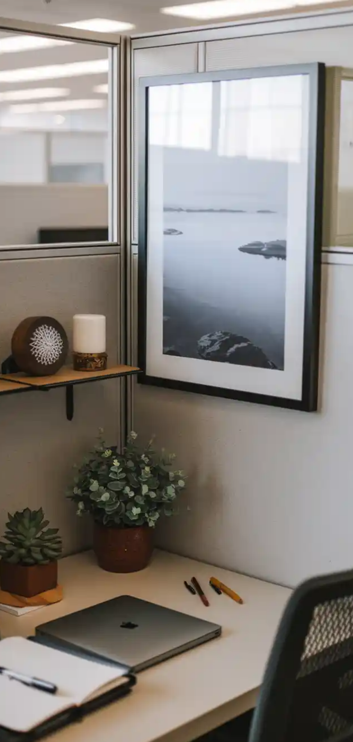 Ways to Make Your Cubicle Suck Less