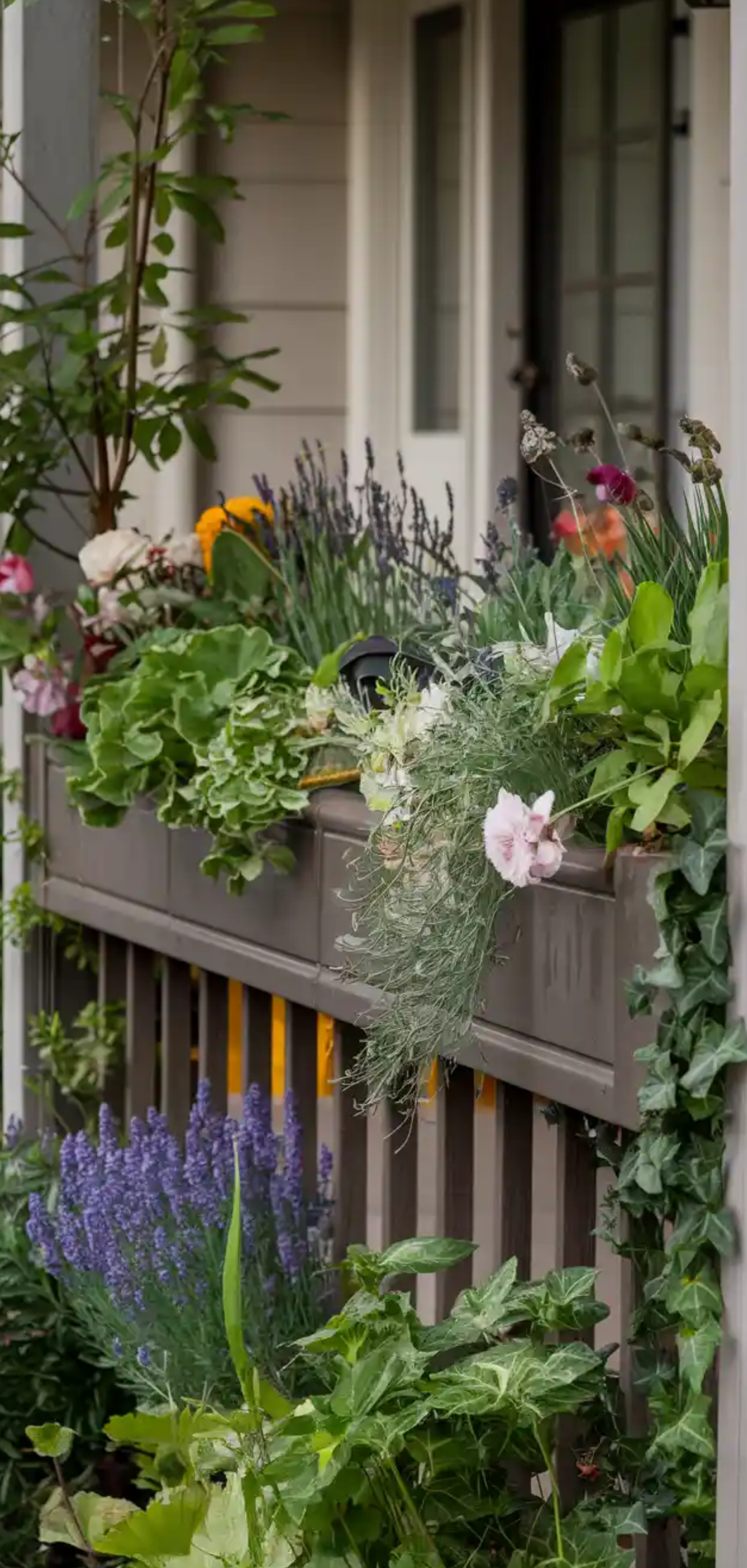 Floral-Filled Porch Garden Ideas