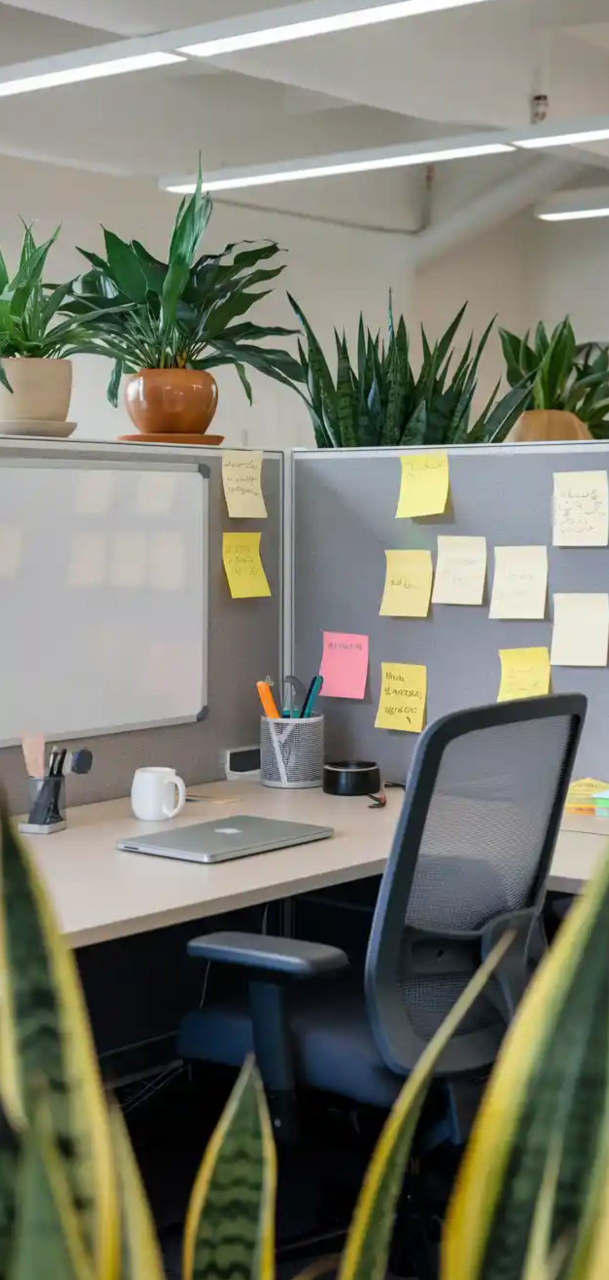 Ways to Make Your Cubicle Suck Less