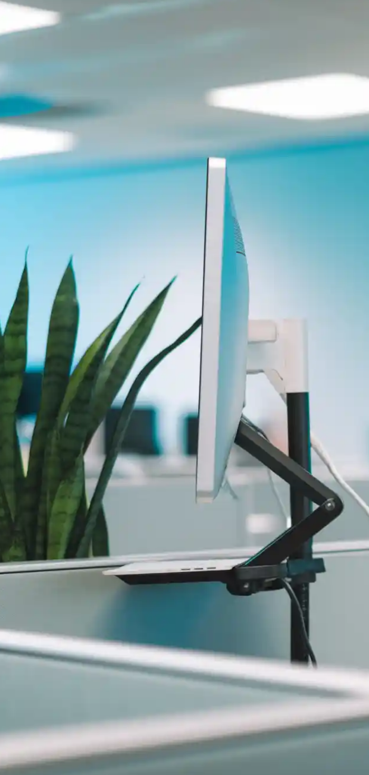 Ways to Make Your Cubicle Suck Less