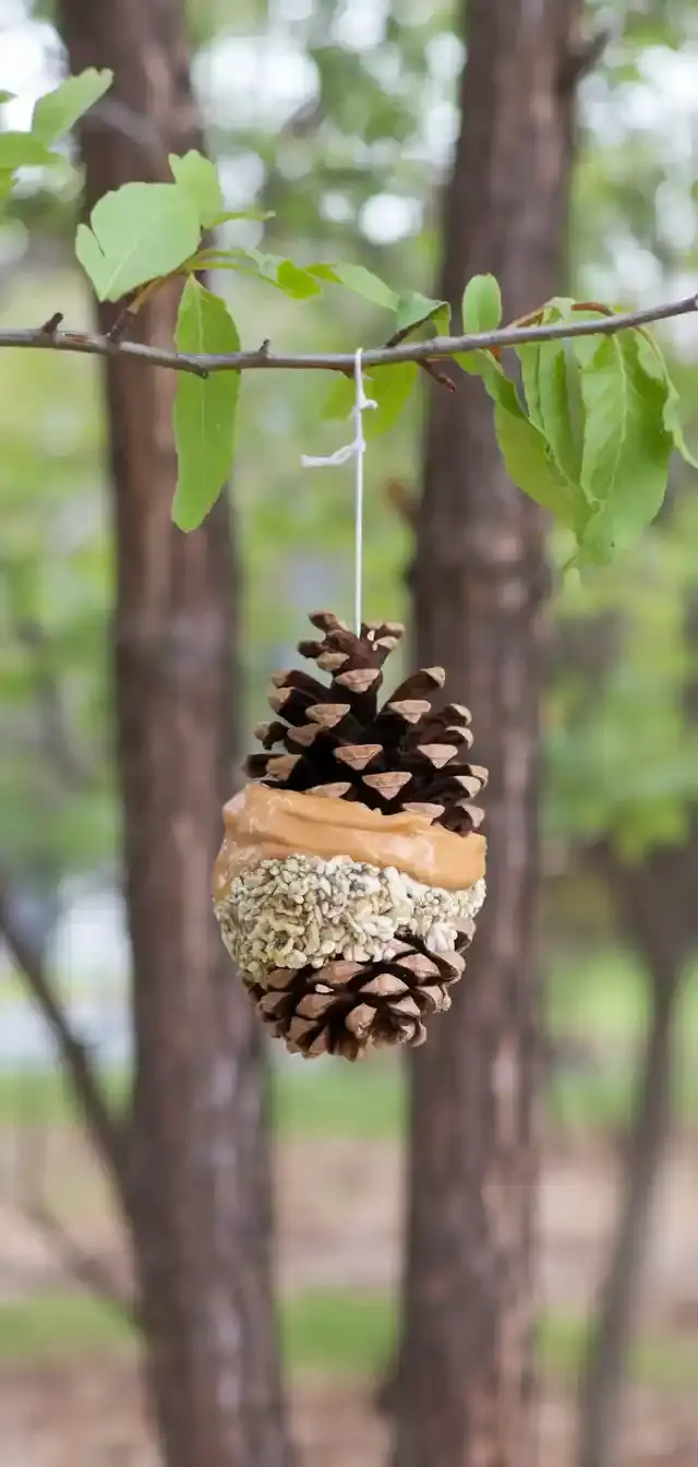 Nature Crafts for Kids