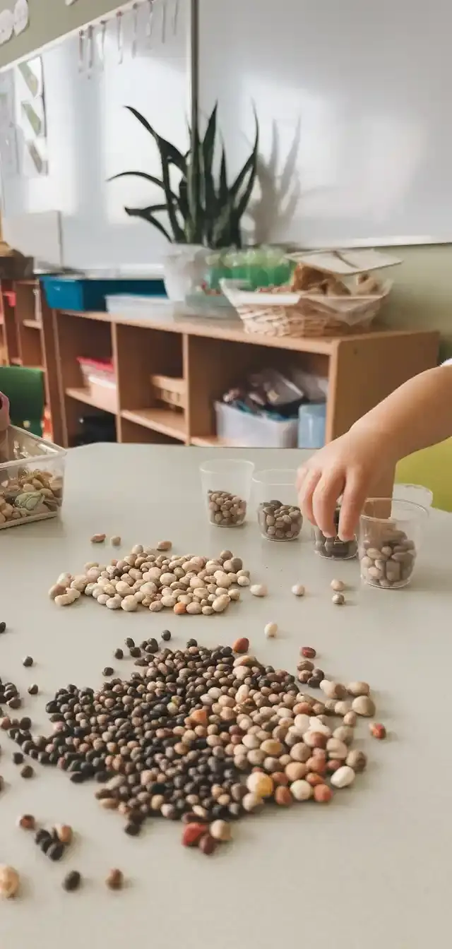 Seed Sorting Activities for Preschool