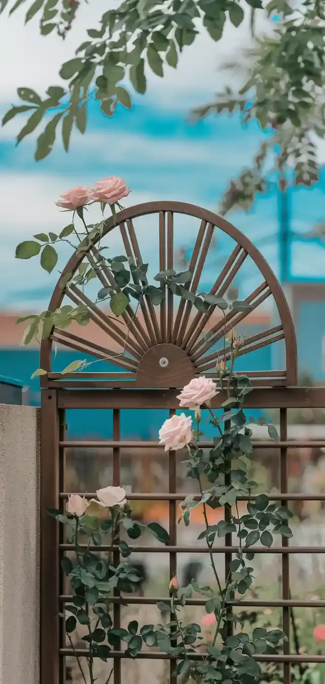 DIY Garden Trellis Ideas