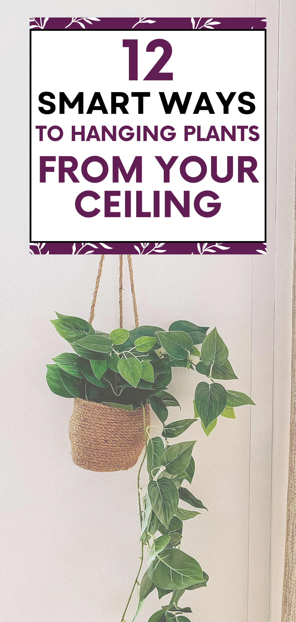 Smart Ways to Hanging Plants from Your Ceiling