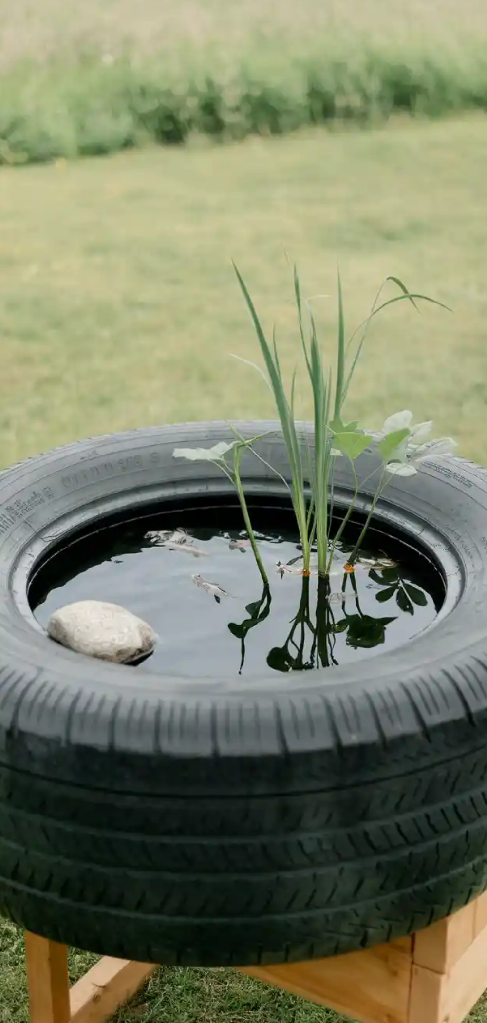 Stunning DIY Tire Planter Ideas