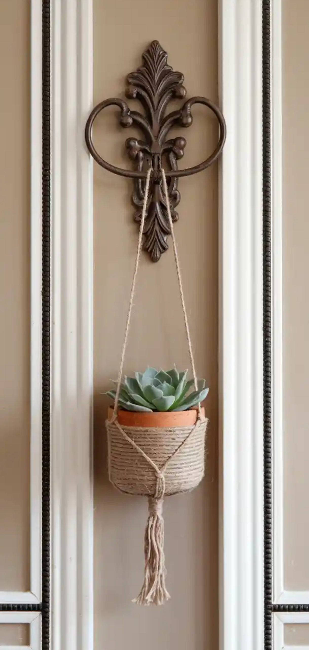 Smart Ways to Hanging Plants from Your Ceiling
