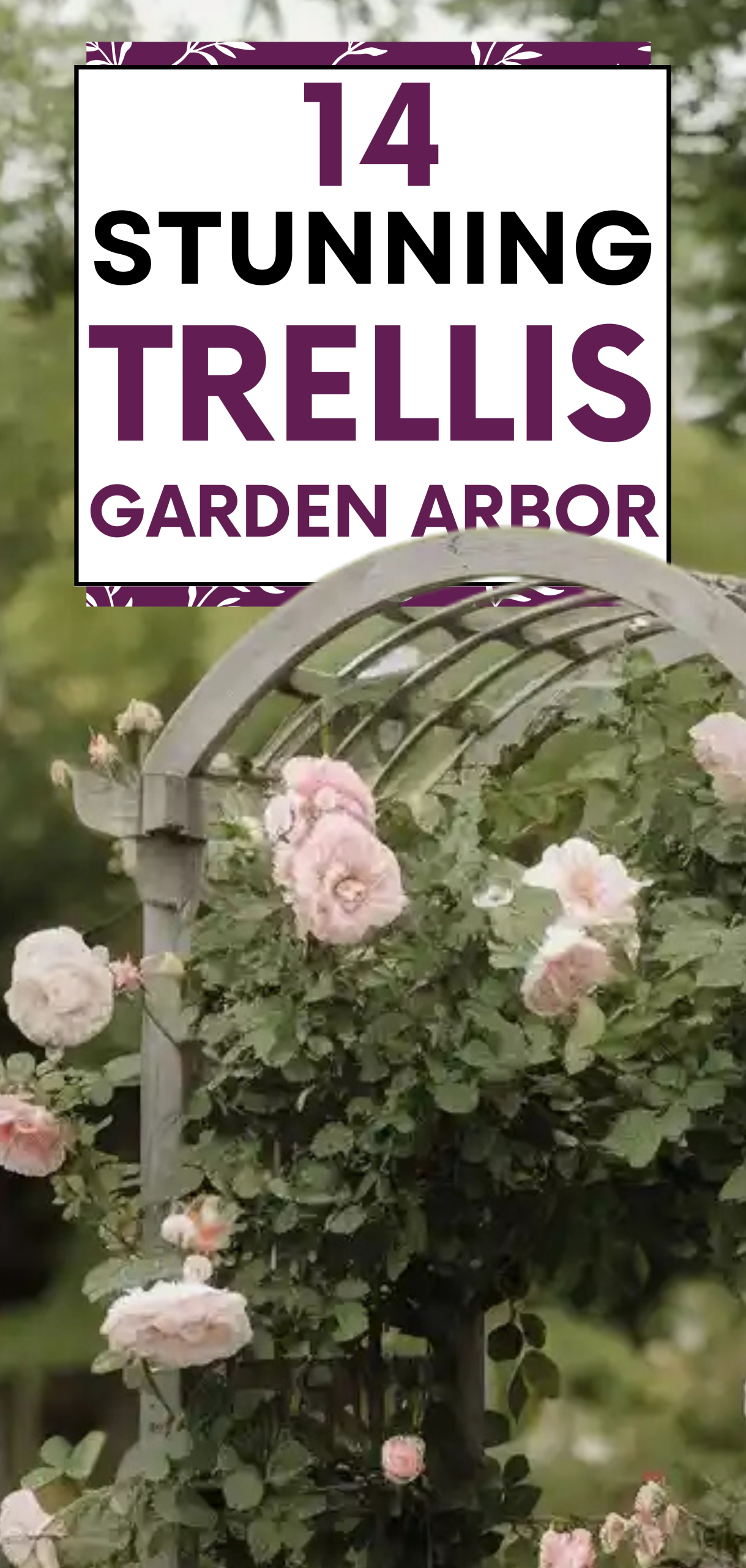 Stunning Trellis Garden Arbor