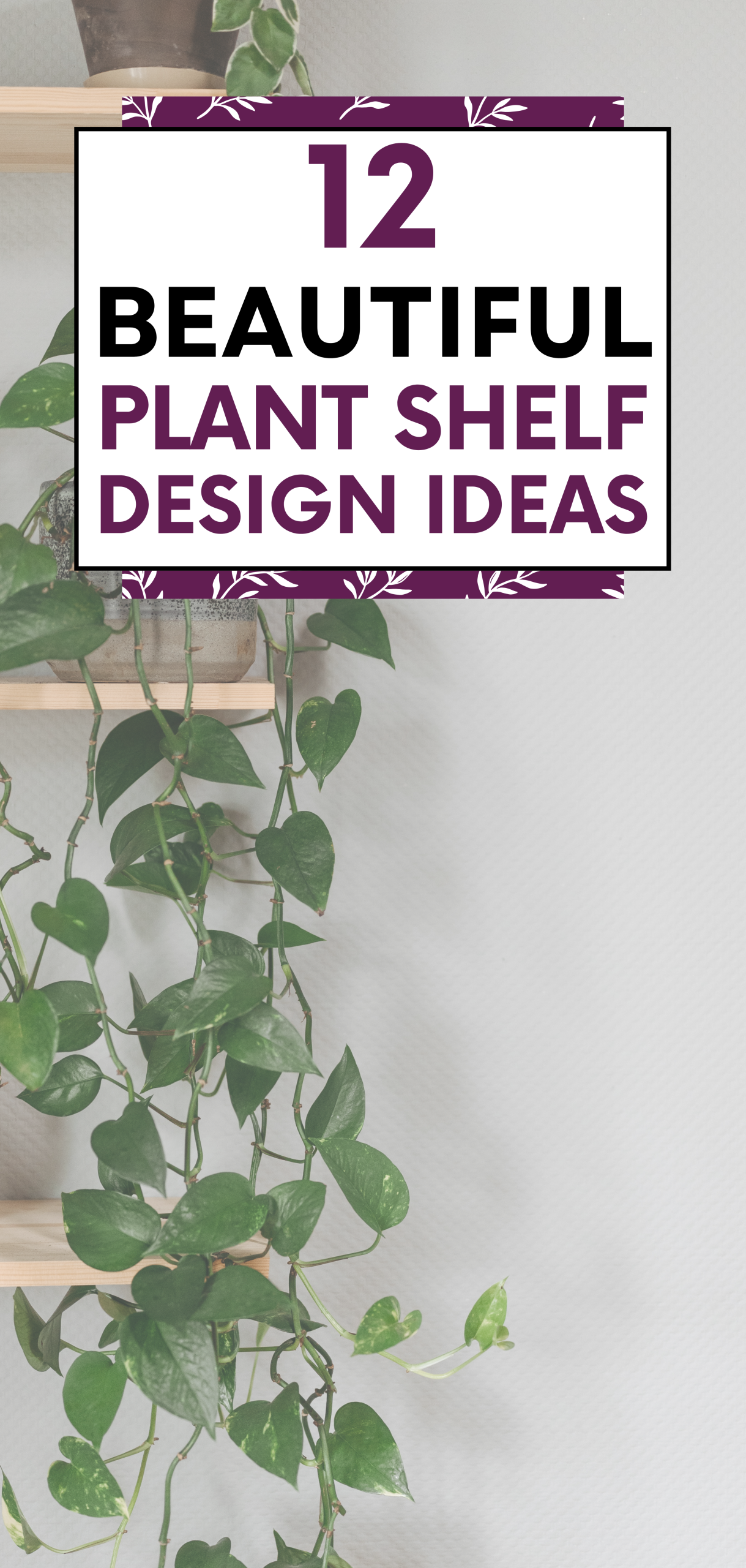 Beautiful Plant Shelf Design Ideas