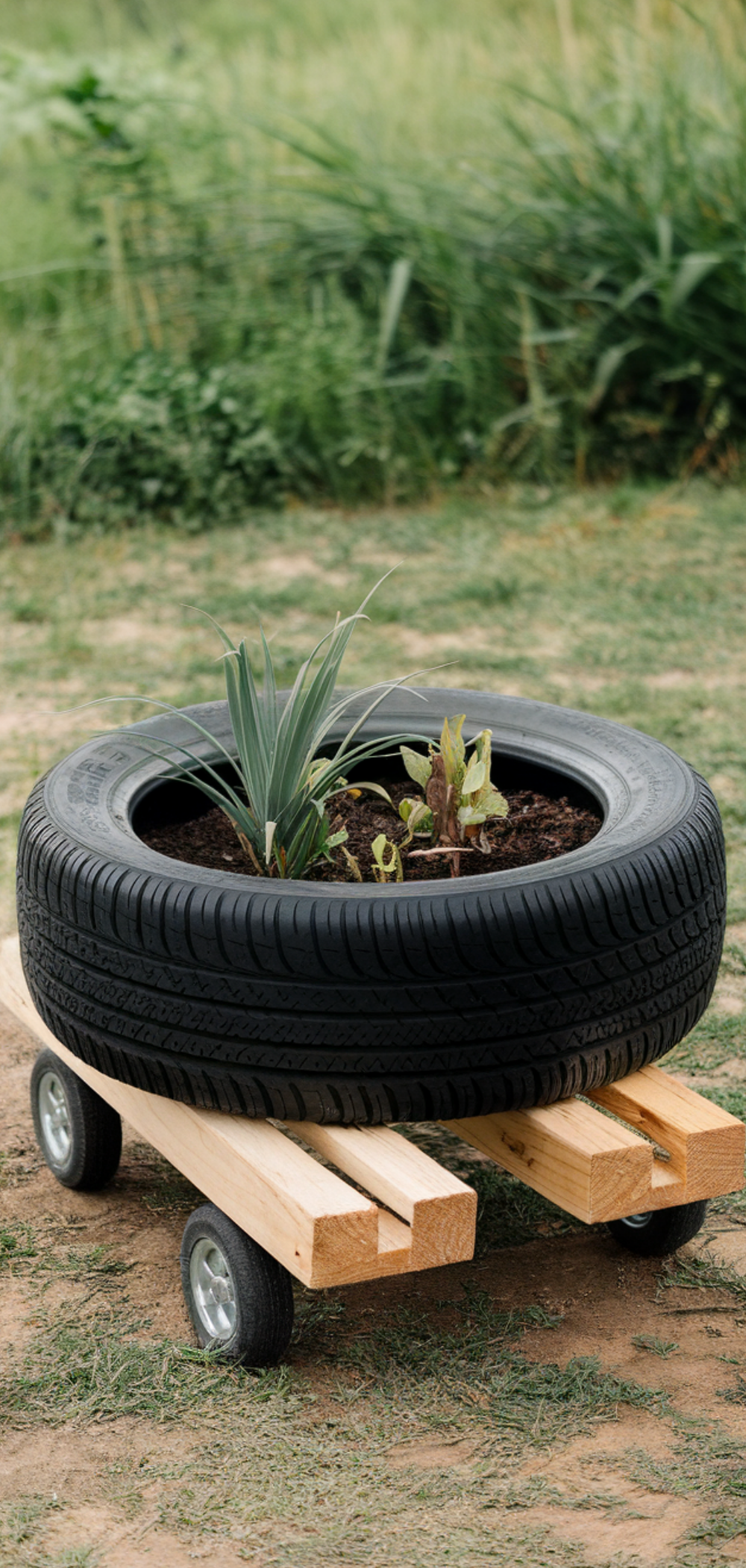 Stunning DIY Tire Planter Ideas