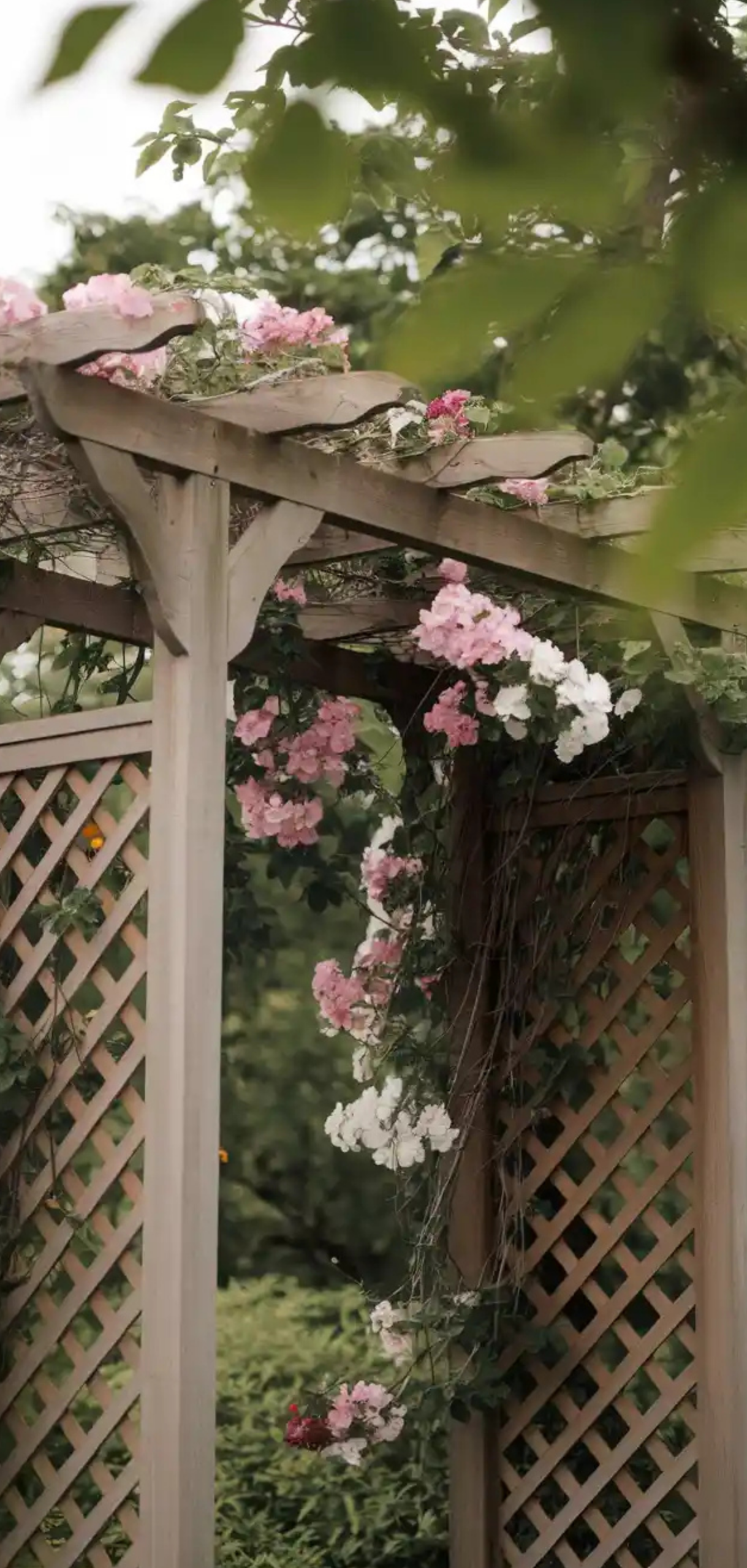 Stunning Trellis Garden Arbor