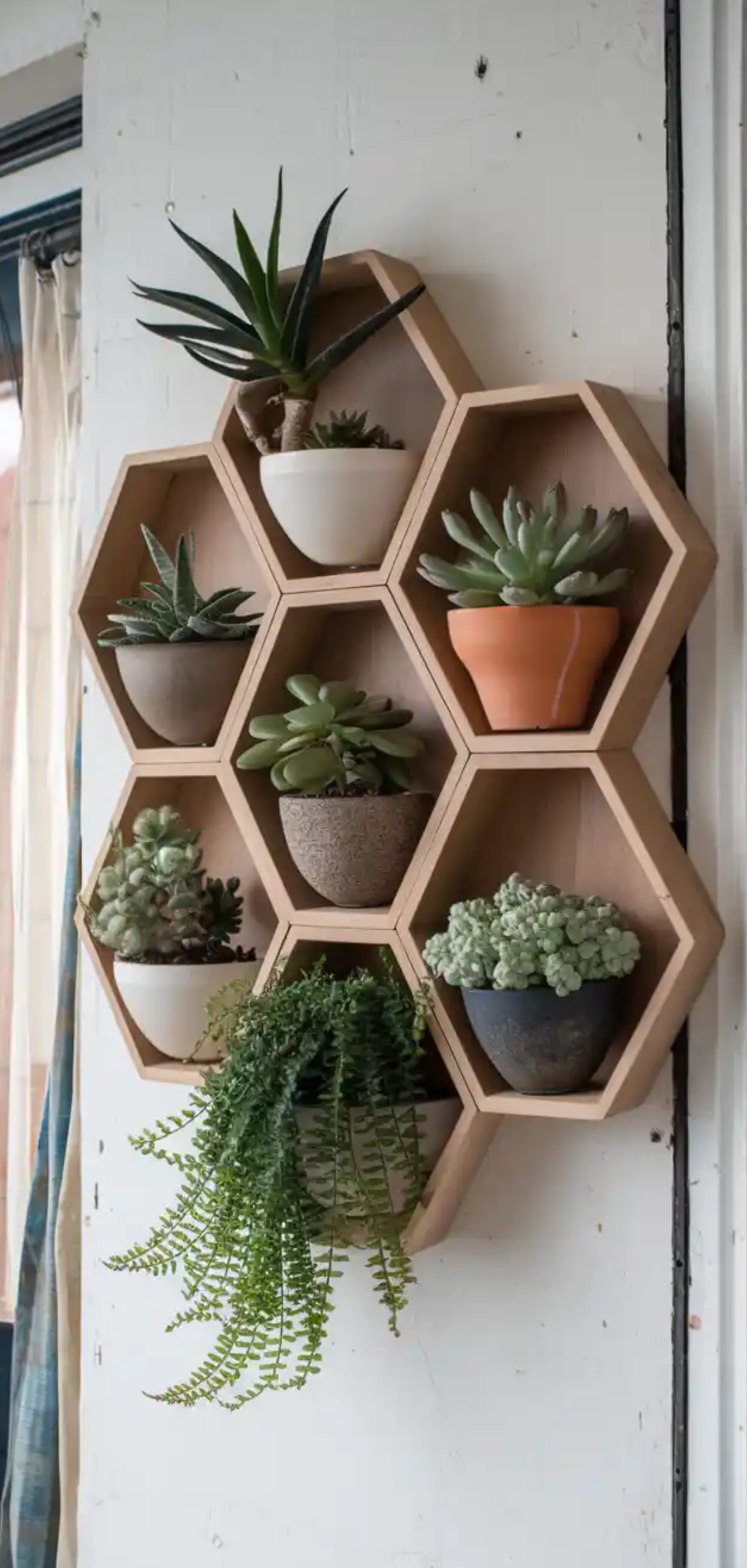 Beautiful Plant Shelf Design Ideas
