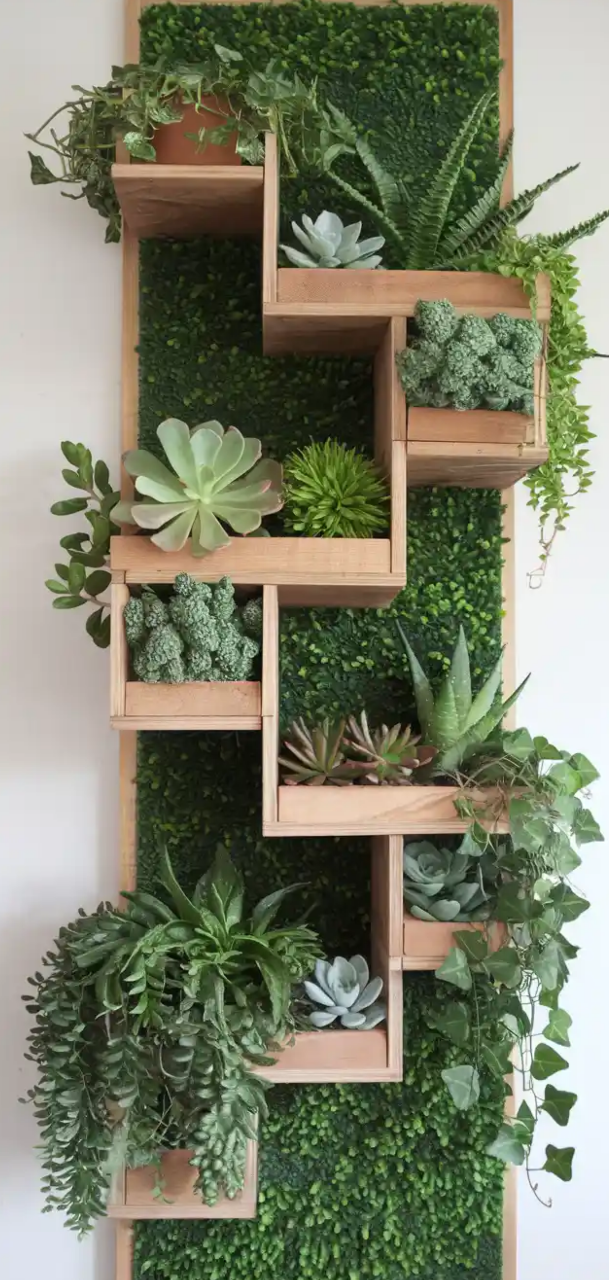 Beautiful Plant Shelf Design Ideas