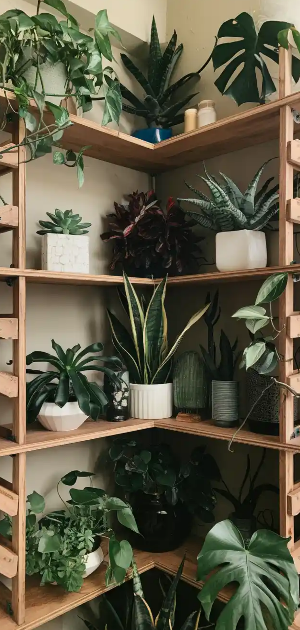 Beautiful Plant Shelf Design Ideas