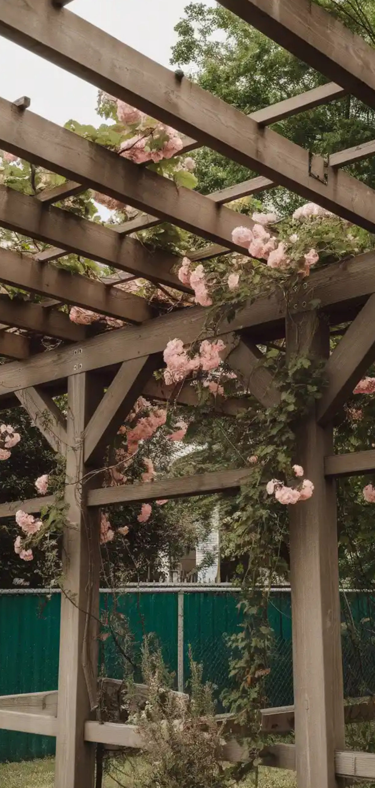 Stunning Trellis Garden Arbor