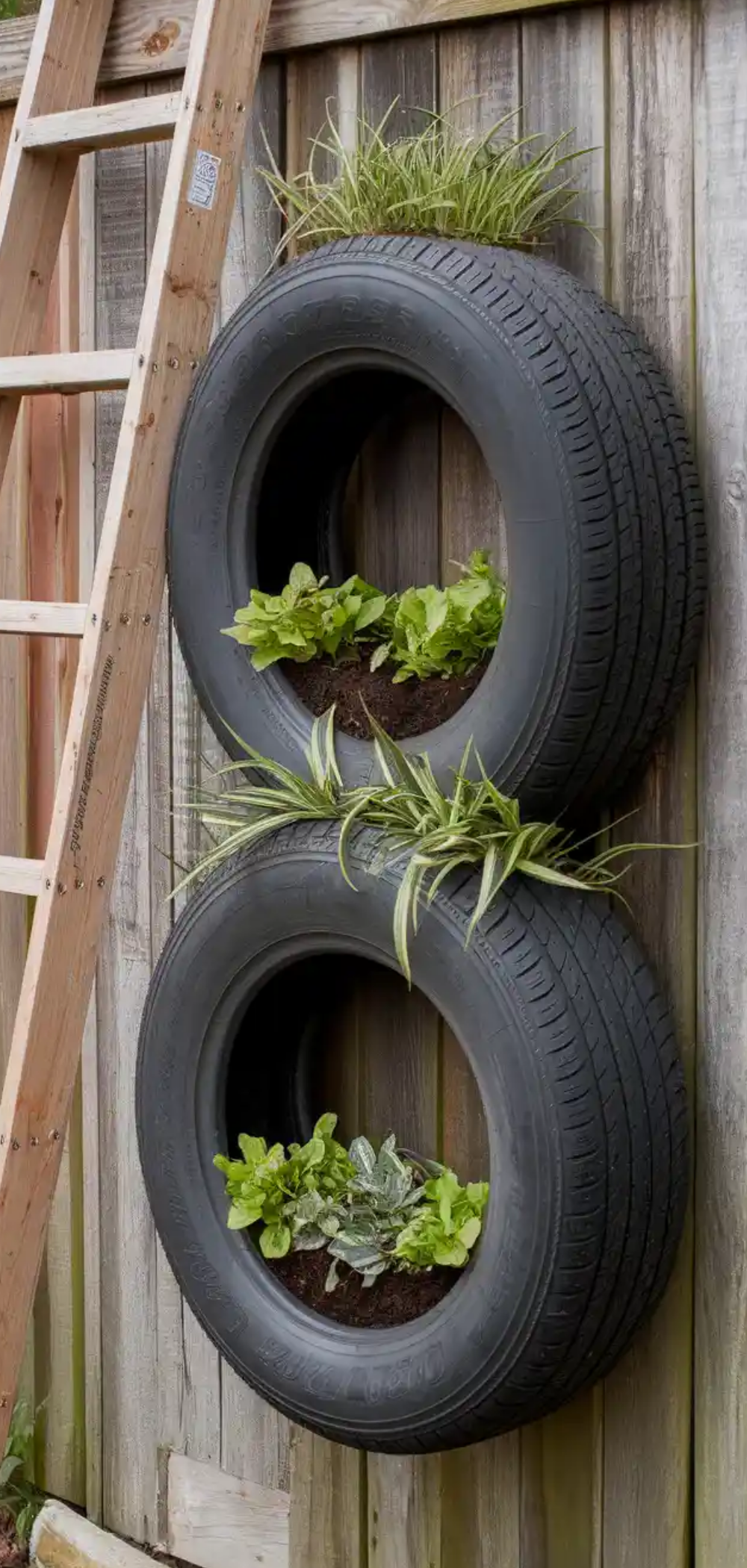 Stunning DIY Tire Planter Ideas