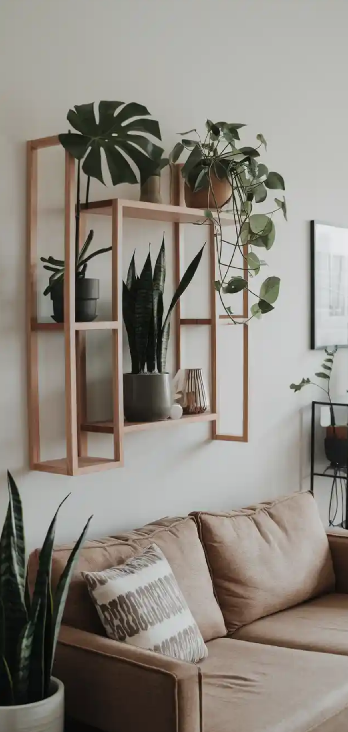 Beautiful Plant Shelf Design Ideas