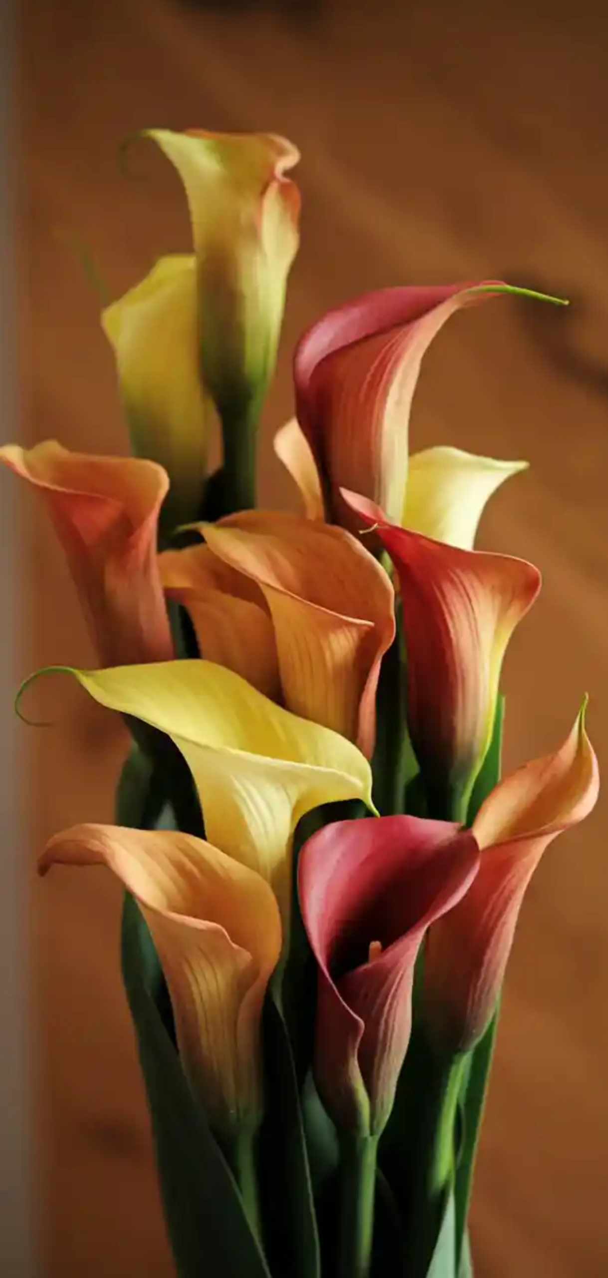 Breathtaking Wedding Autumn Flowers