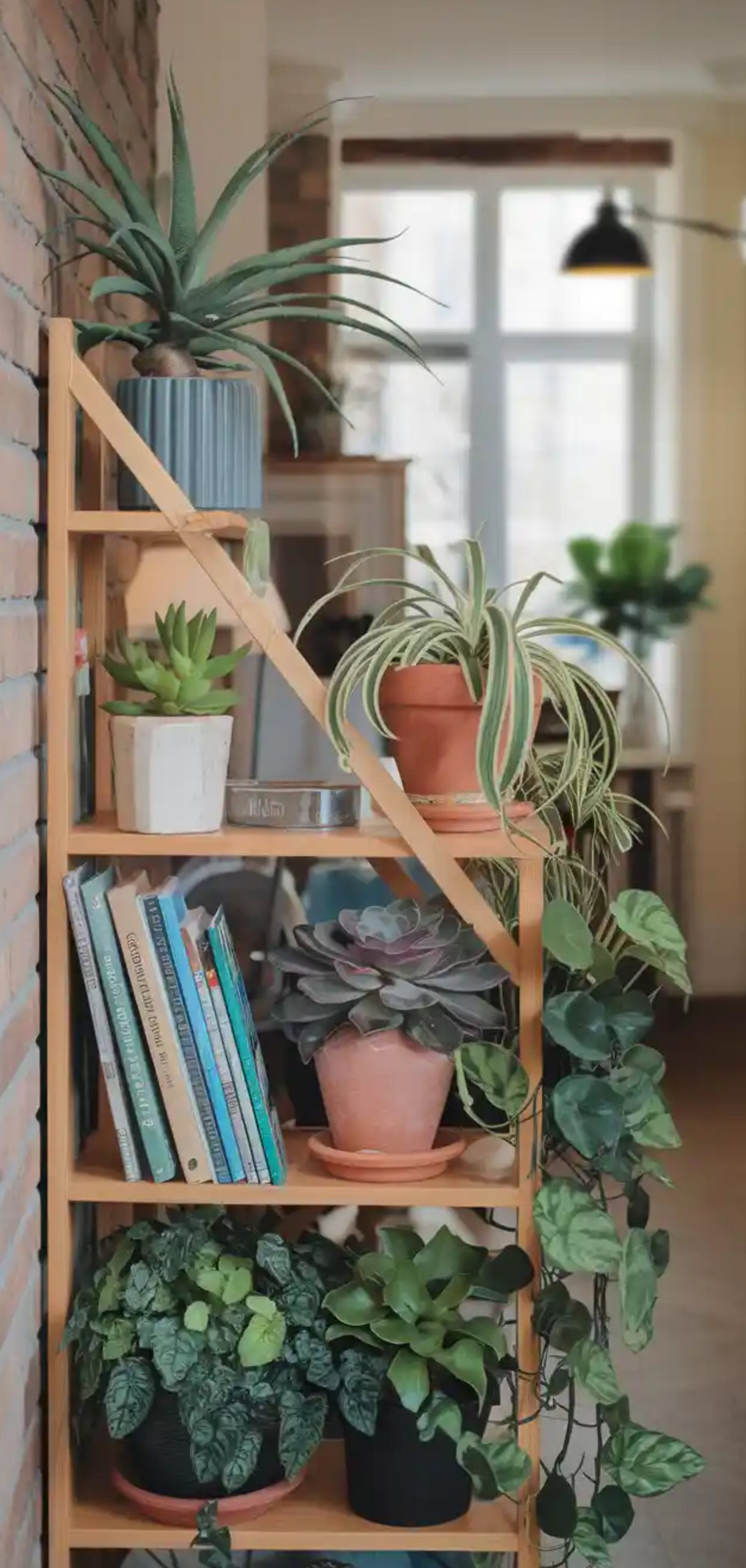 Beautiful Plant Shelf Design Ideas