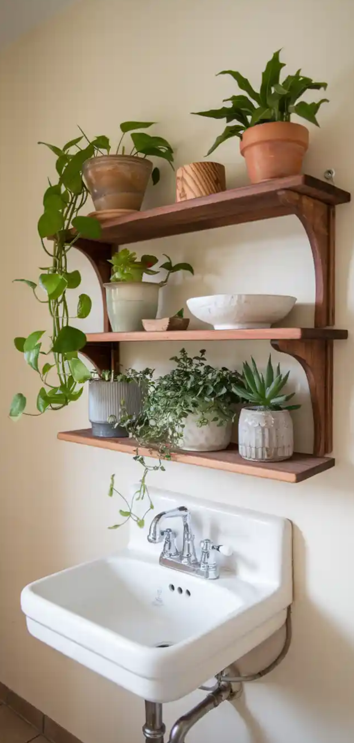 Beautiful Plant Shelf Design Ideas