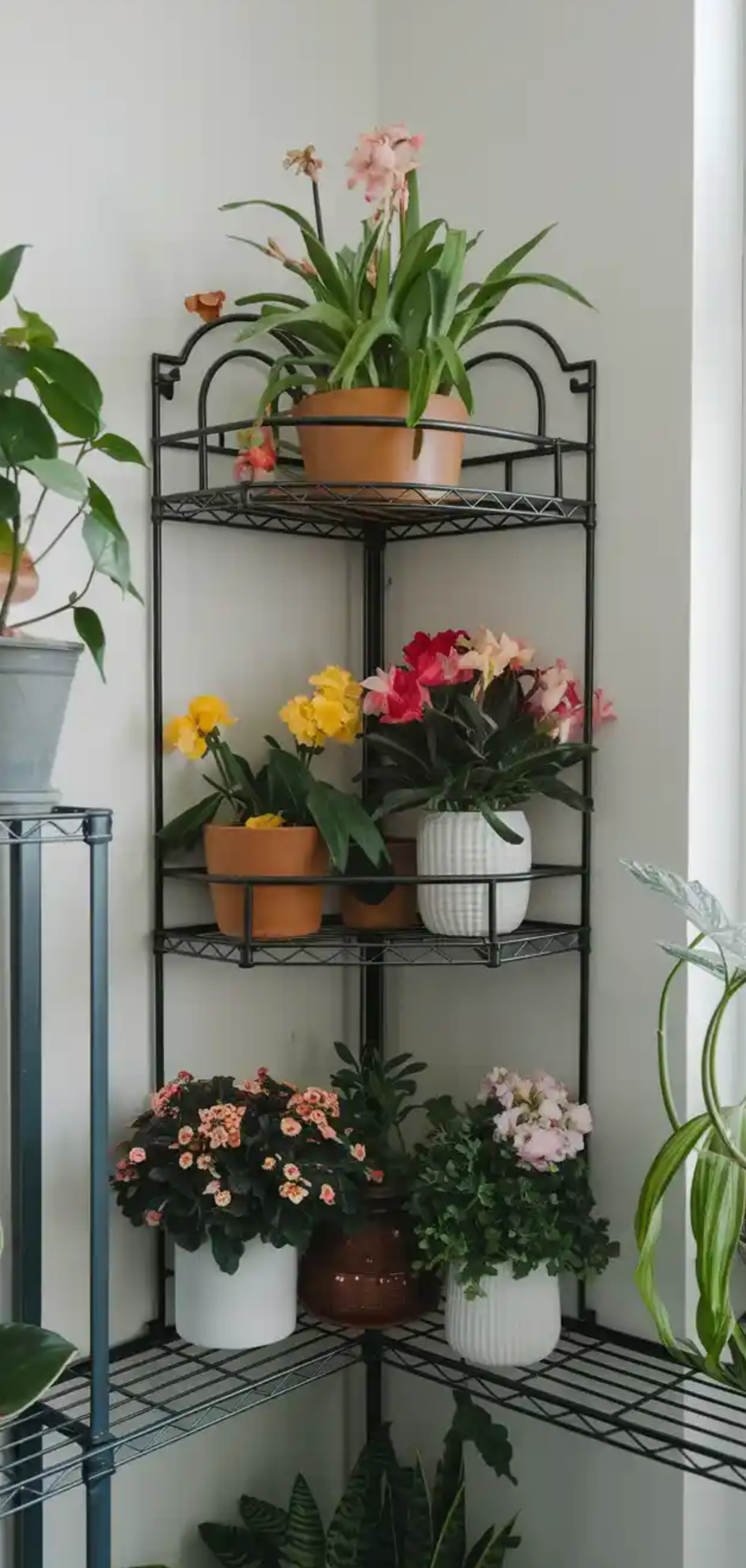 Beautiful Plant Shelf Design Ideas