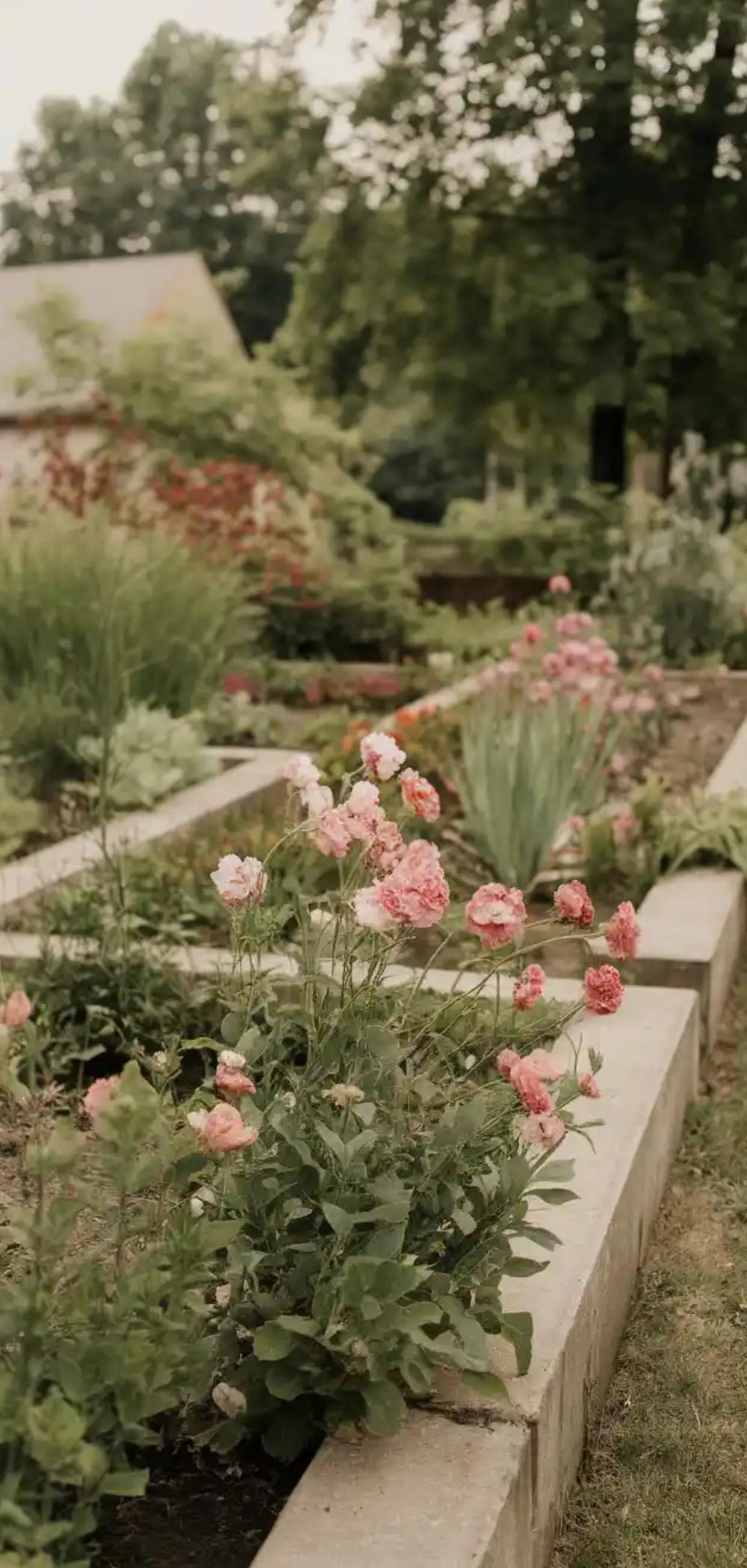 Brilliant Garden Edge Ideas