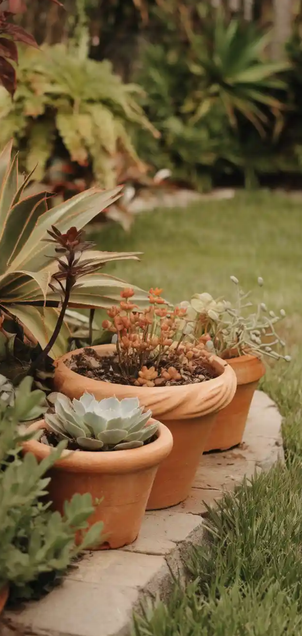 Brilliant Garden Edge Ideas