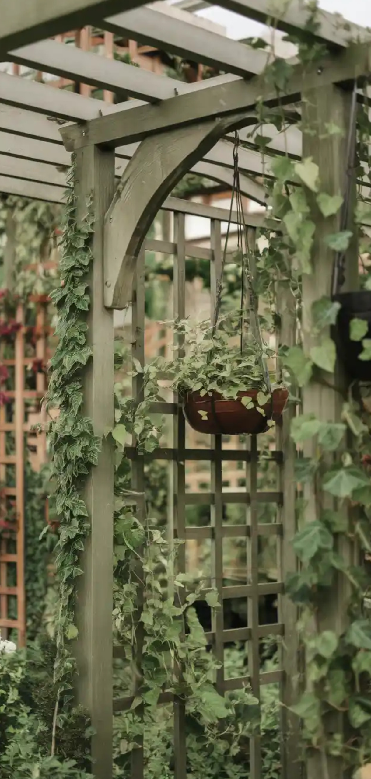 Stunning Trellis Garden Arbor